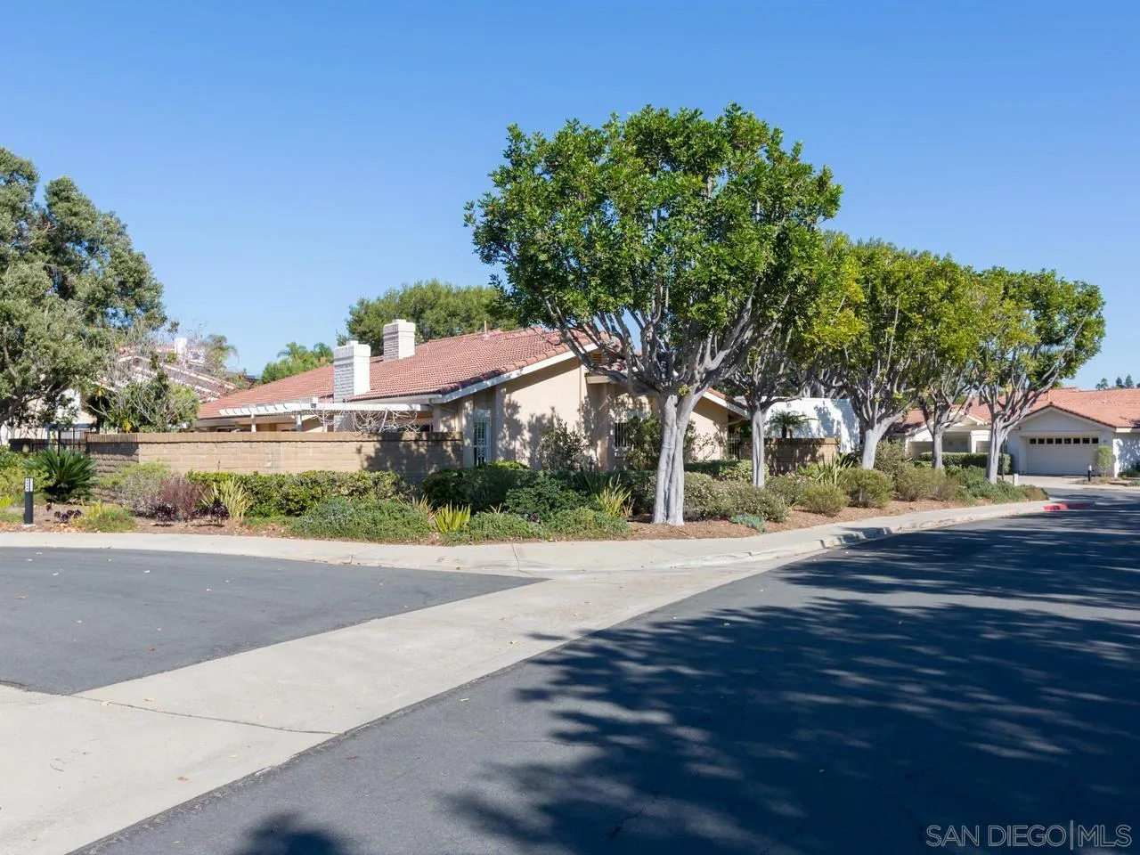 1804 Caminito Ascua La Jolla, CA 92037 - Photo 9 of 20 a road view with large trees