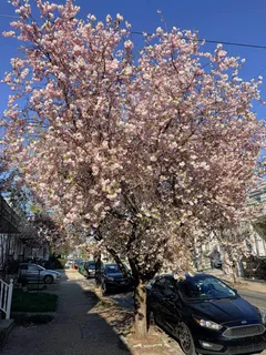 $405,000 | 450 Leverington Avenue, Philadelphia, PA 19128