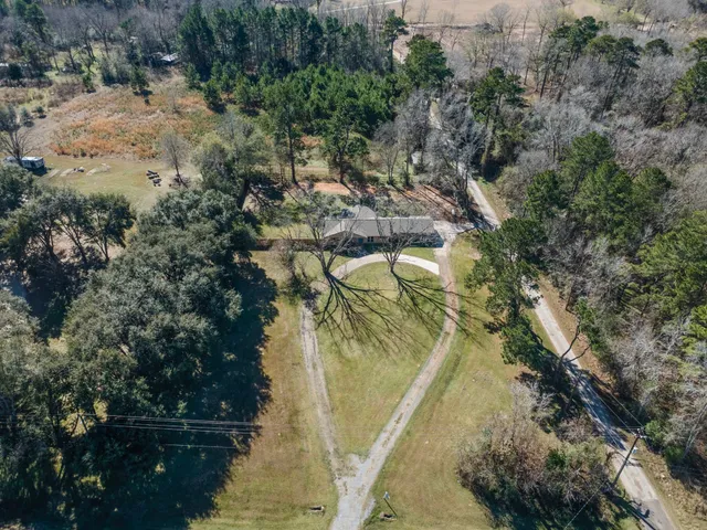 a view of a lake in a forest