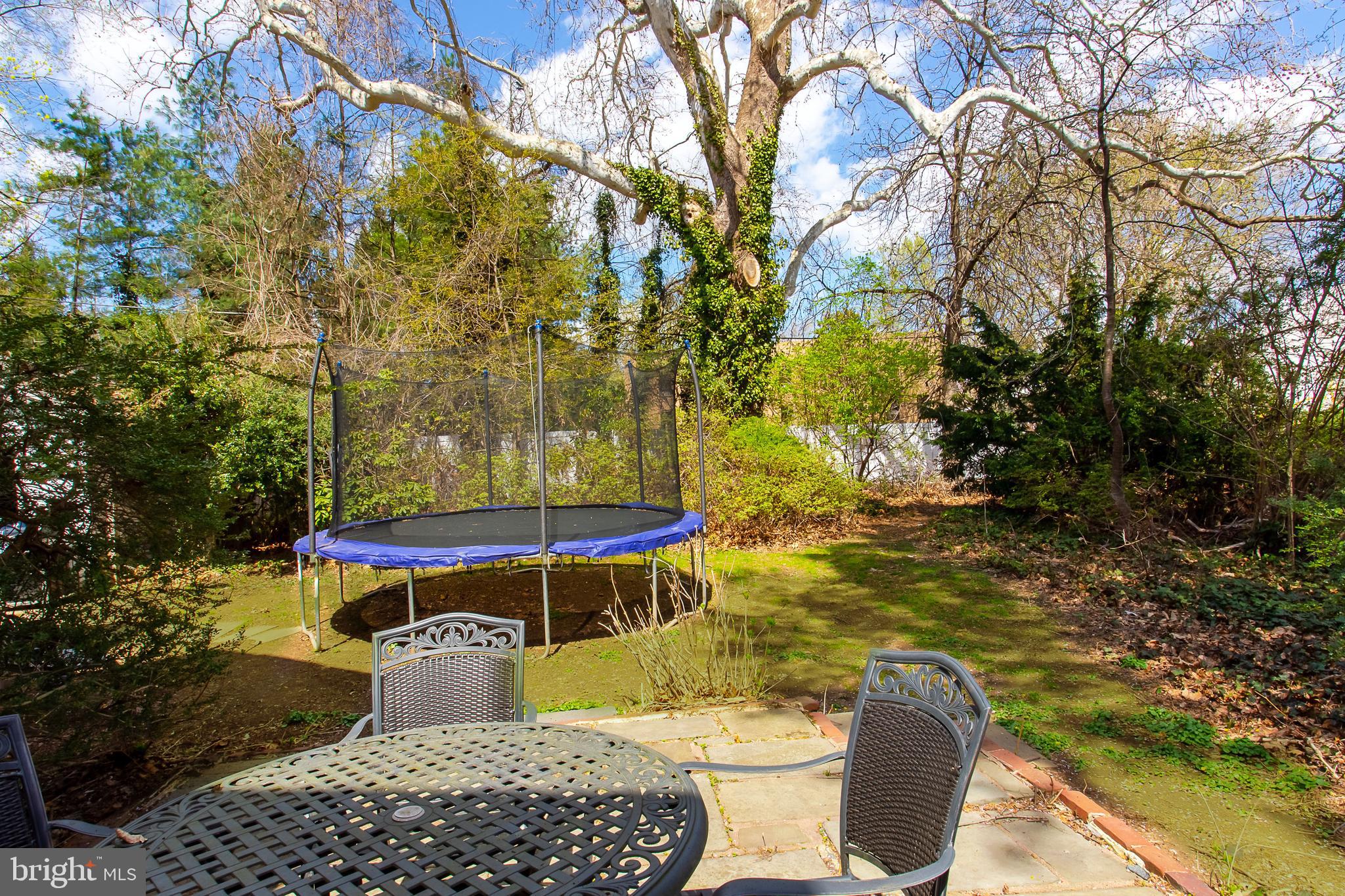 17 Shirley Road Narberth, PA 19072 - Photo 26 of 27 Back yard