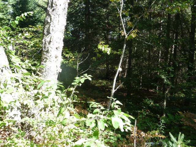 Lot 18 Bobcat Road Presque Isle, WI 54557 - Photo 4 of 8 Gallery Image 4