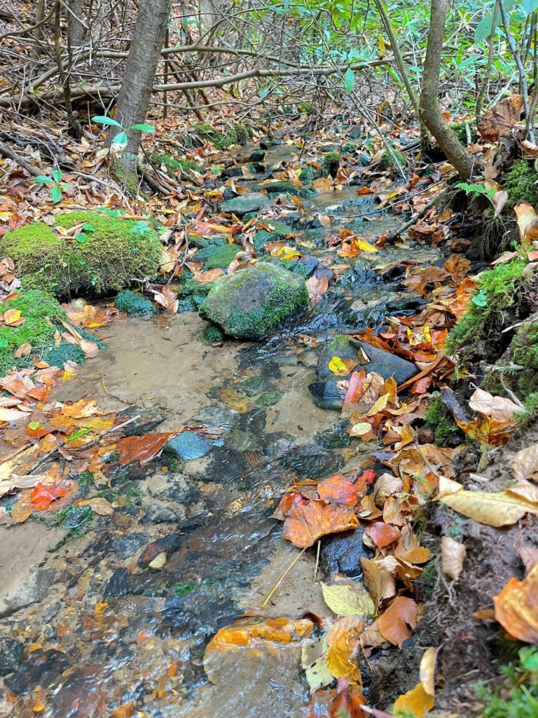 65-acres Long Branch Road Topton, NC 28781 - Photo 3 of 17 an aerial view of residential houses with outdoor space
