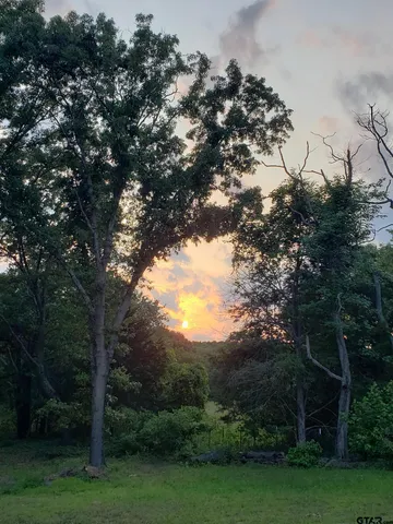 a view of a field with a tree in the background