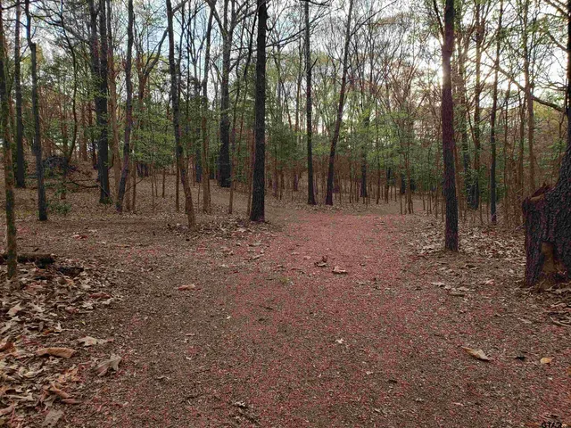a view of outdoor space with trees