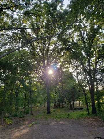 a big yard with large trees