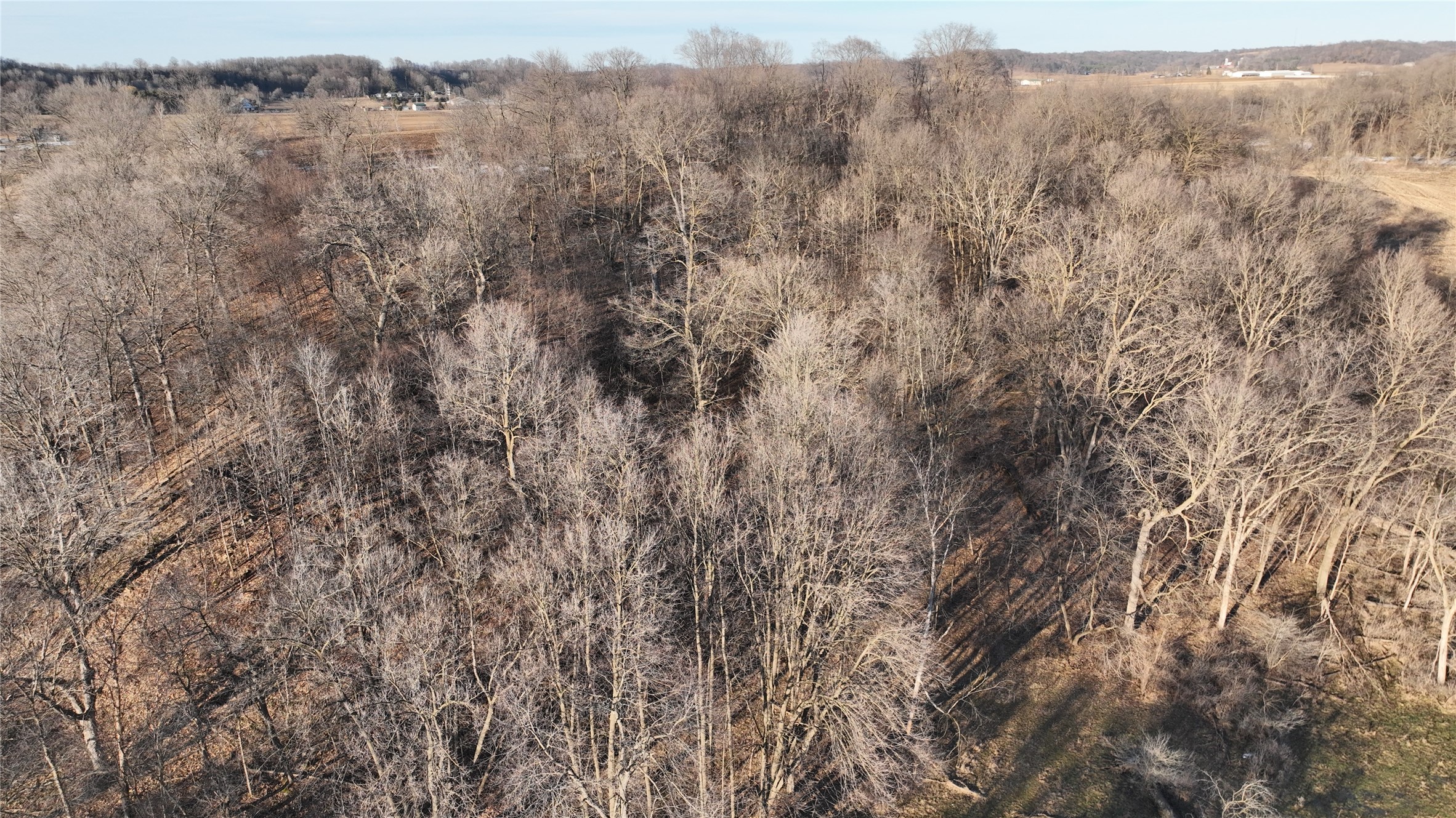 Xx 860th Street Ellsworth, WI 54011 - Photo 14 of 30