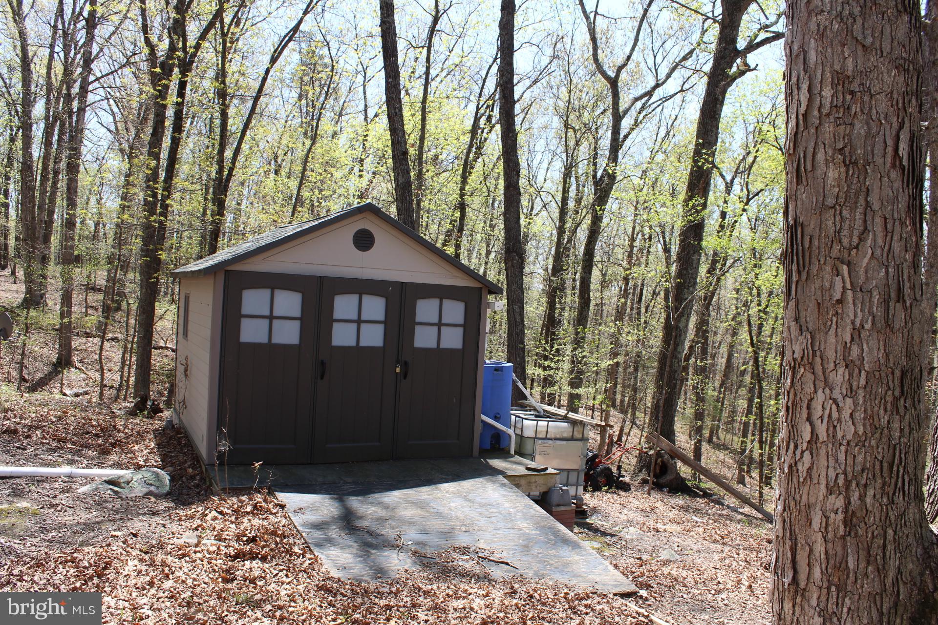 0 Bucks Mill Road Strasburg, VA 22657 - Photo 14 of 22 View of Acreage