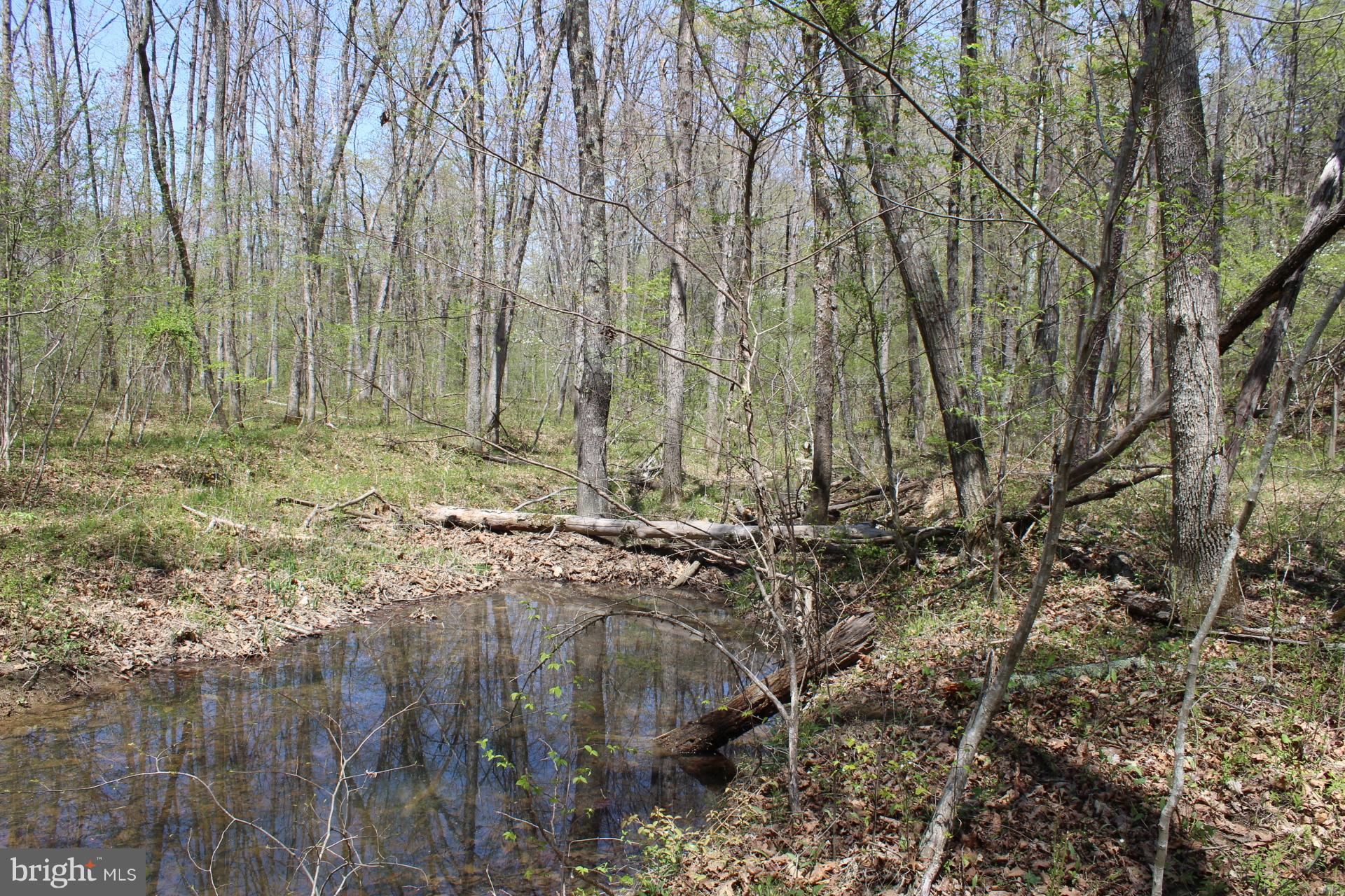 0 Bucks Mill Road Strasburg, VA 22657 - Photo 5 of 22 View of Passage Creek