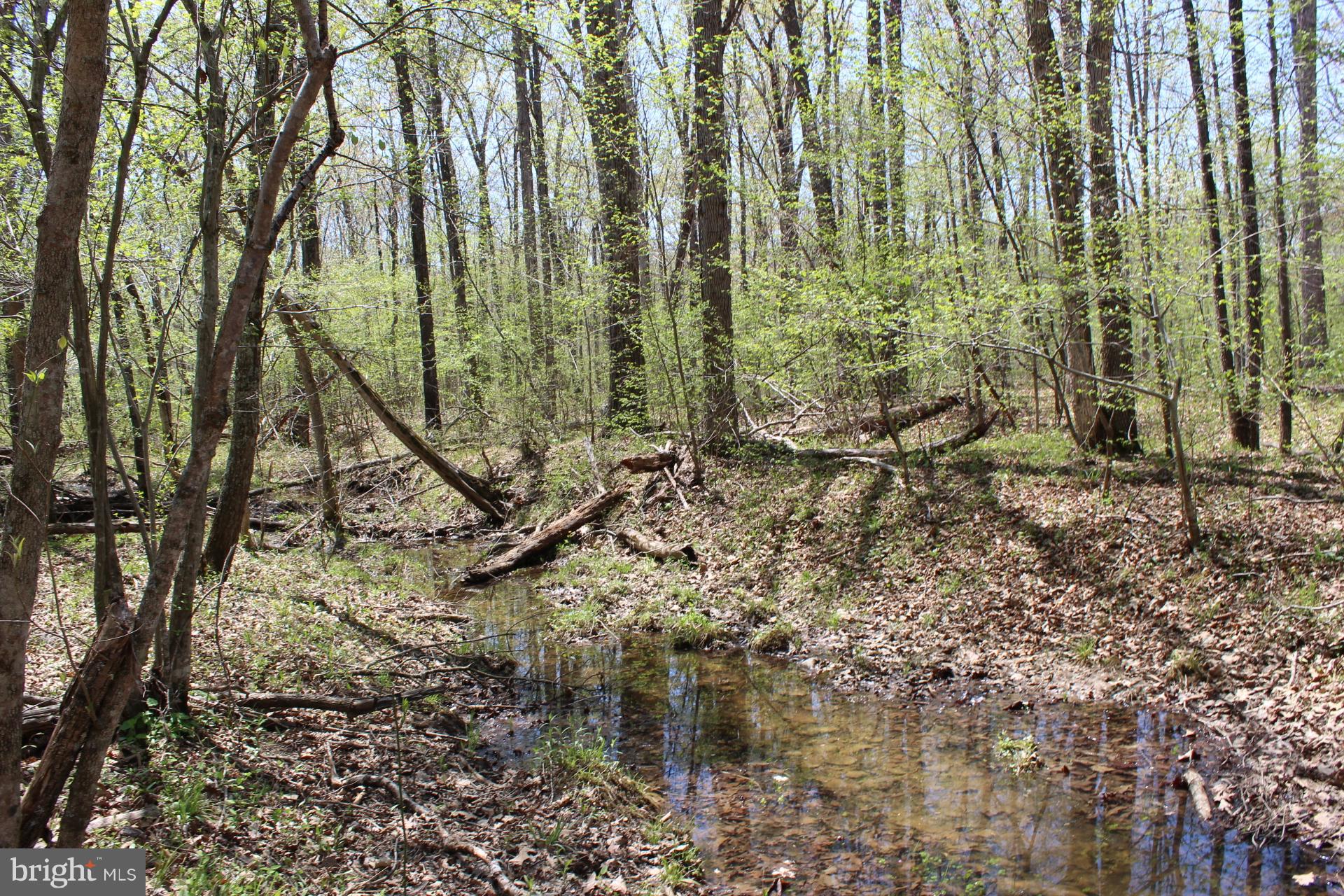 0 Bucks Mill Road Strasburg, VA 22657 - Photo 6 of 22 View of Passage Creek