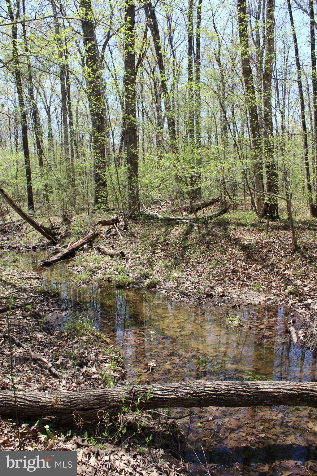 0 Bucks Mill Road Strasburg, VA 22657 - Photo 7 of 22 View of Passage Creek