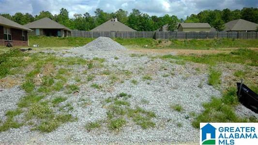 177 Old Ivy Road Calera, AL 35040 - Photo 1 of 1