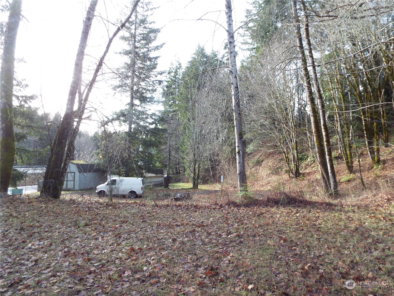 120 Wilson Road Northwest Olympia, WA 98502 - Photo 5 of 36 Gallery Image 5