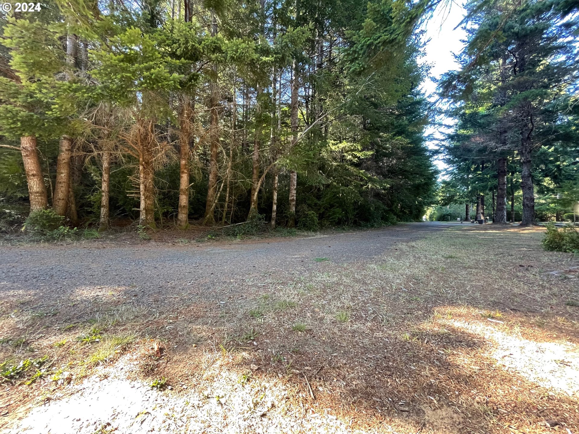 55996 Fishtale Road Bandon, OR 97411 - Photo 9 of 48 Gallery Image 9