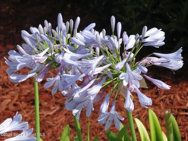 $799,995 | 6710 Florida A1A, Melbourne Beach, FL 32951