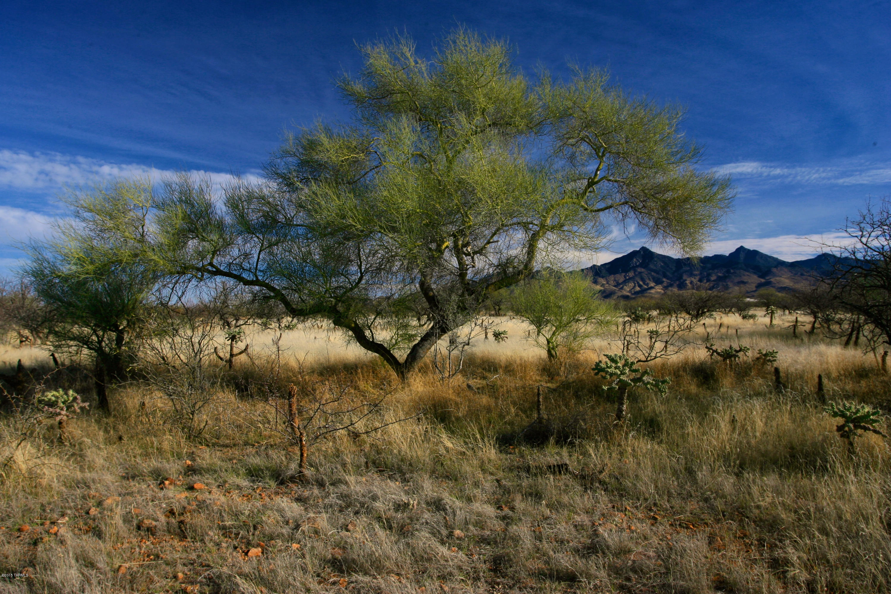 98 Camino Nacozari, Unit 46/2 Rio Rico, AZ 85648 - Photo 1 of 10