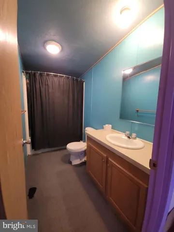 a bathroom with a sink a toilet and mirror