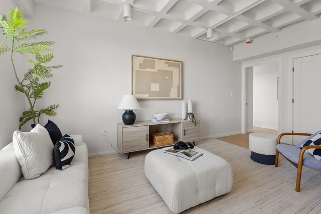 a living room with furniture and a potted plant