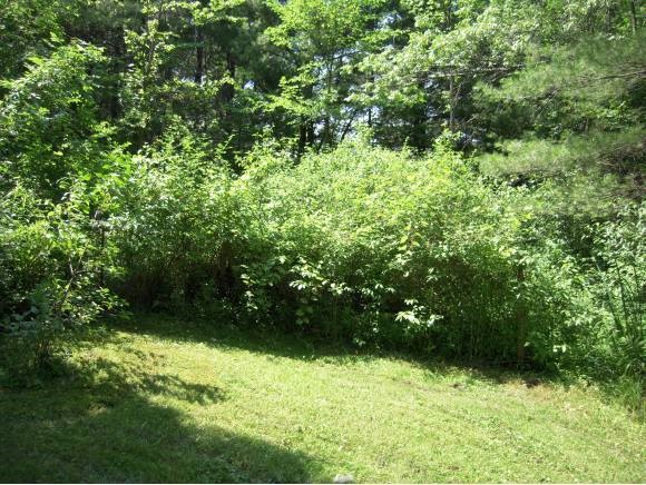 17 Rabbit Run Waltham, VT 05491 - Photo 14 of 18 Gallery Image 14