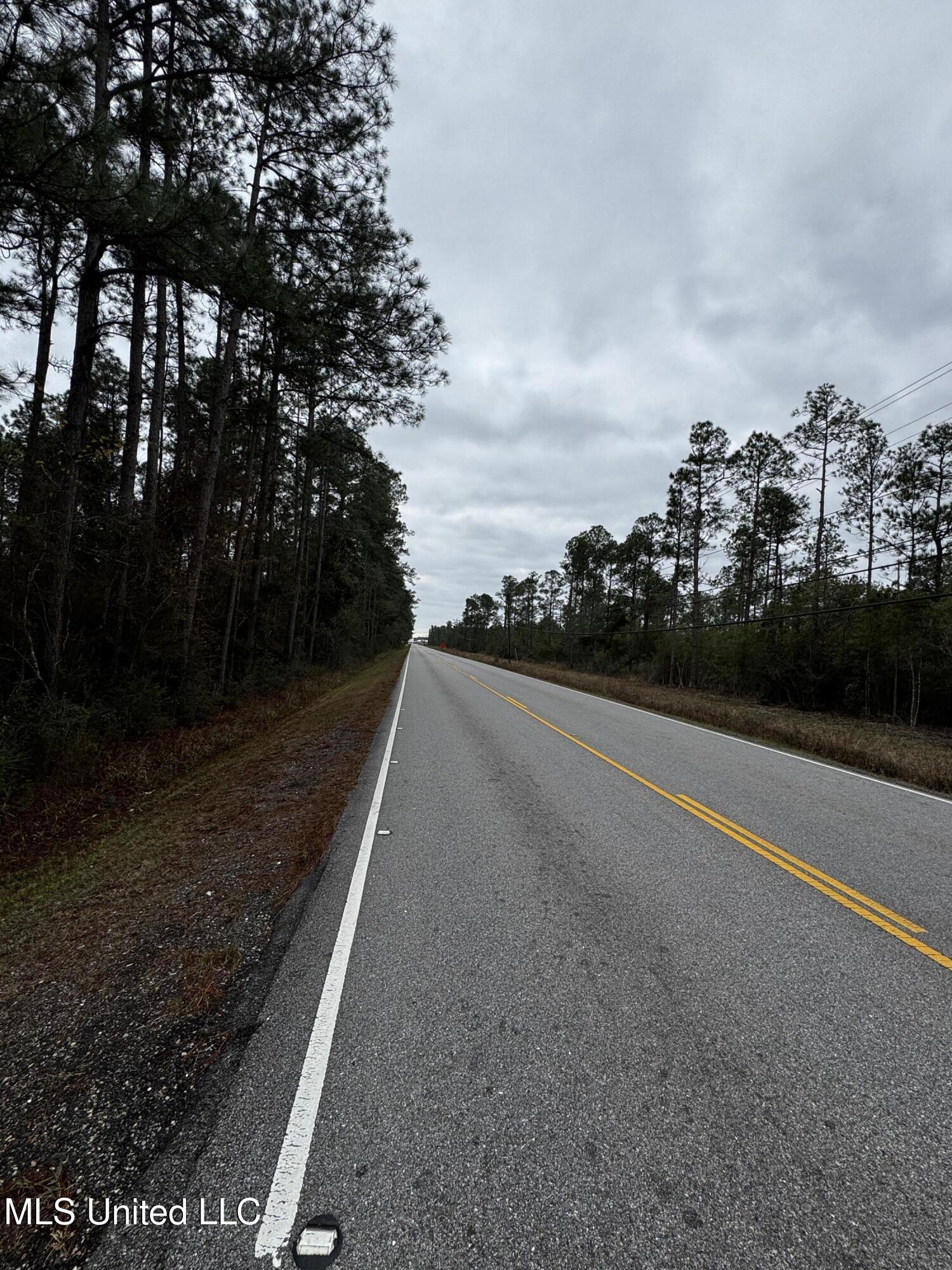 0 Saracennia Road Moss Point, MS 39563 - Photo 3 of 9 9