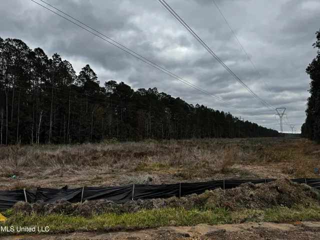 $984,000 | 0 Saracennia Road, Moss Point, MS 39563