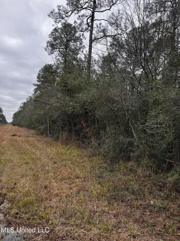 $984,000 | 0 Saracennia Road, Moss Point, MS 39563