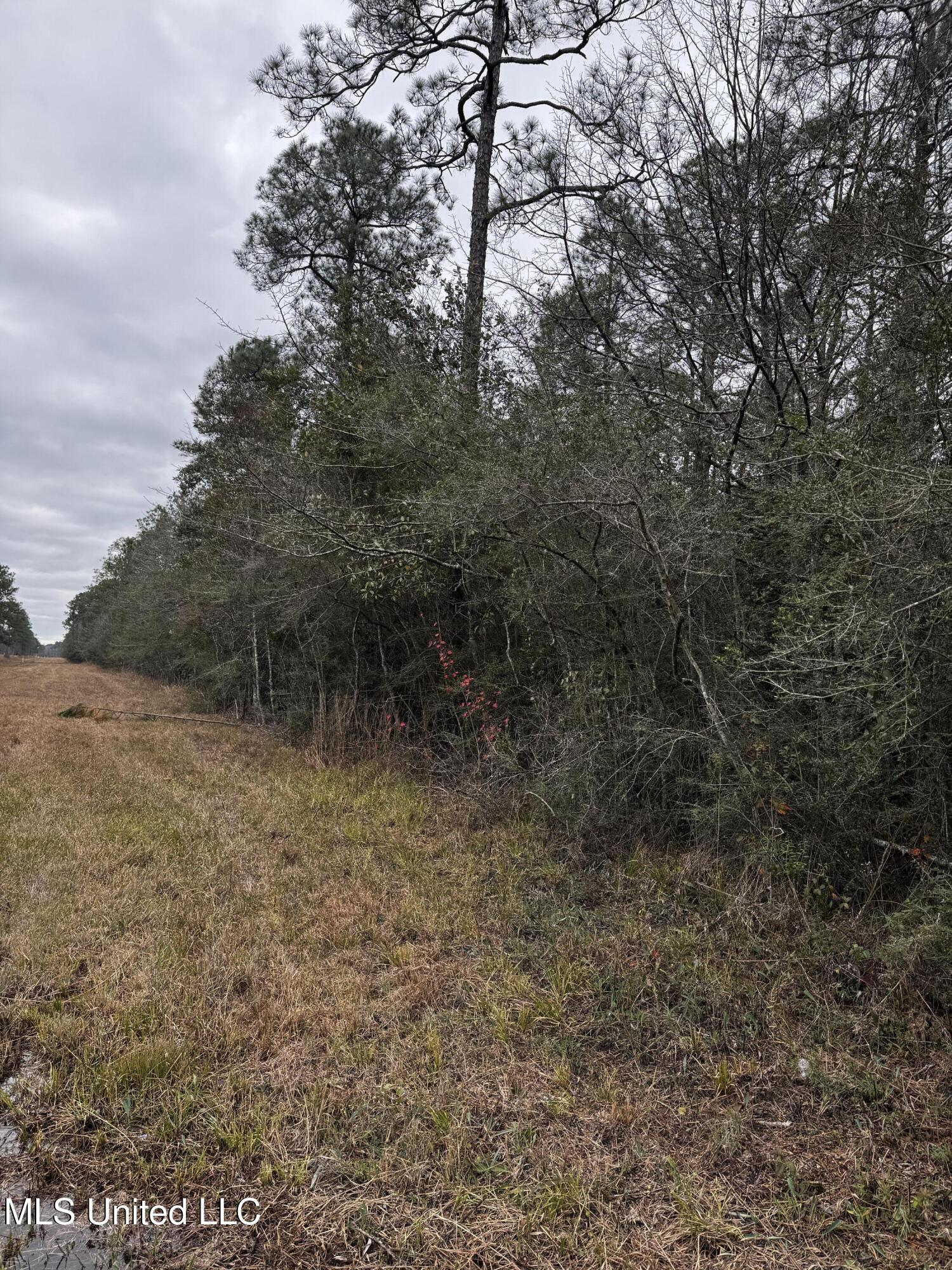 0 Saracennia Road Moss Point, MS 39563 - Photo 6 of 9 4