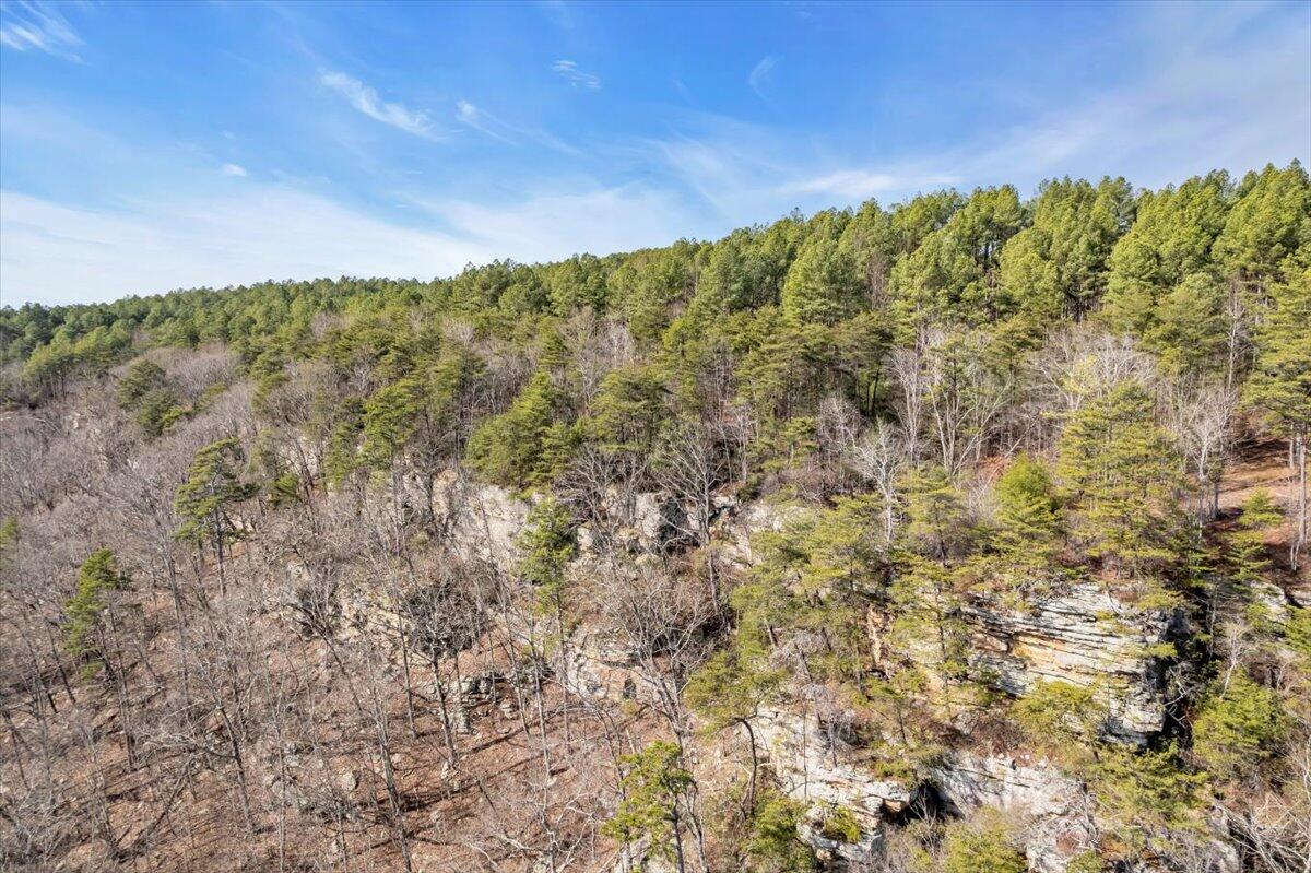 3970 Split Rail Way, Unit LOT 1375 Guild, TN 37340 - Photo 14 of 20 11-DJI_0190