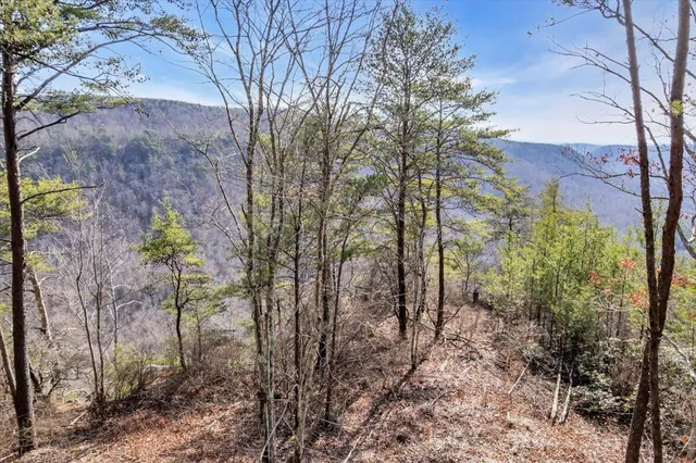 $400,000 | 3970 Split Rail Way, Unit LOT 1375, Guild, TN 37340