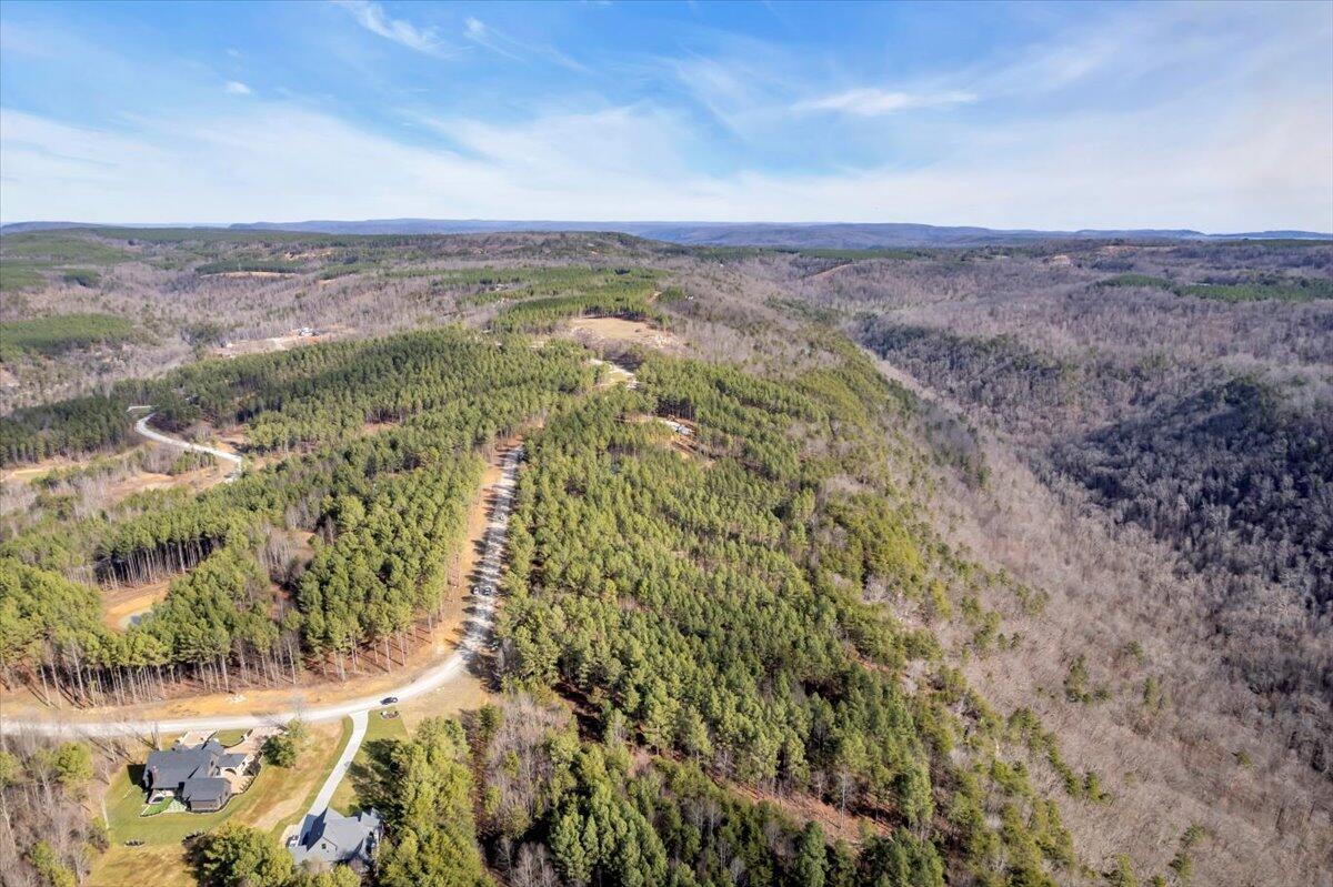 3970 Split Rail Way, Unit LOT 1375 Guild, TN 37340 - Photo 10 of 20 07-DJI_0178