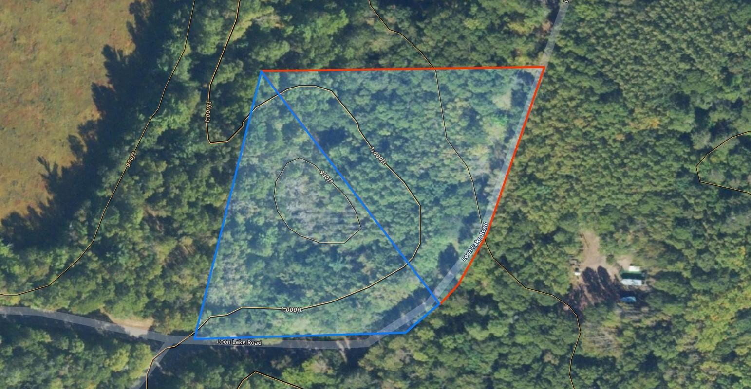 Lot 14 Loon Lake Road Danbury, WI 54830 - Photo 13 of 16