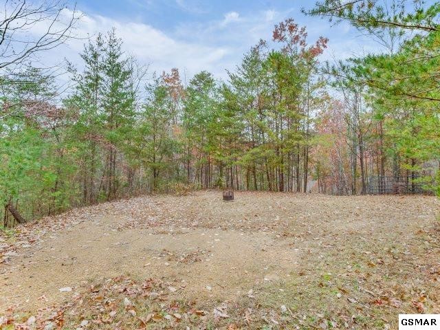4357 Wilhite Road Cosby, TN 37722 - Photo 26 of 35 Gallery Image 26