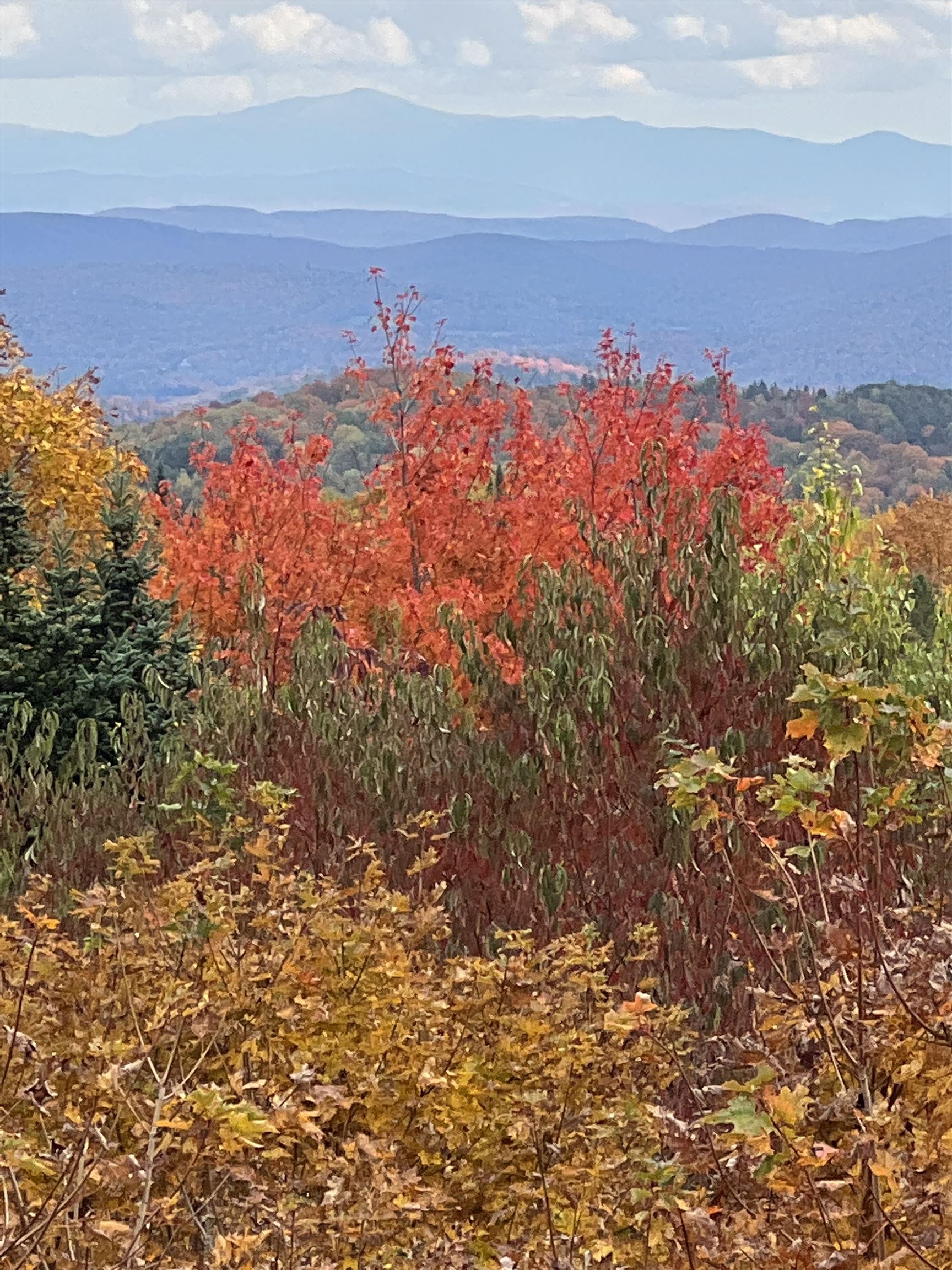40 Gore Road Danville, VT 05828 - Photo 49 of 54