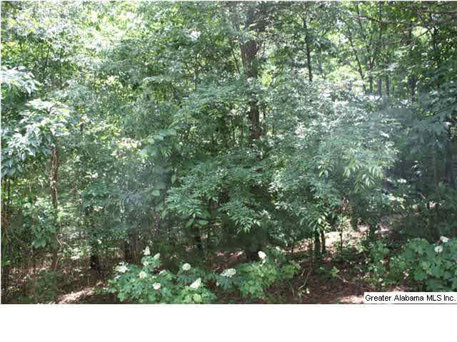 2104 Grande View Lane North Alabaster, AL 35114 - Photo 27 of 28