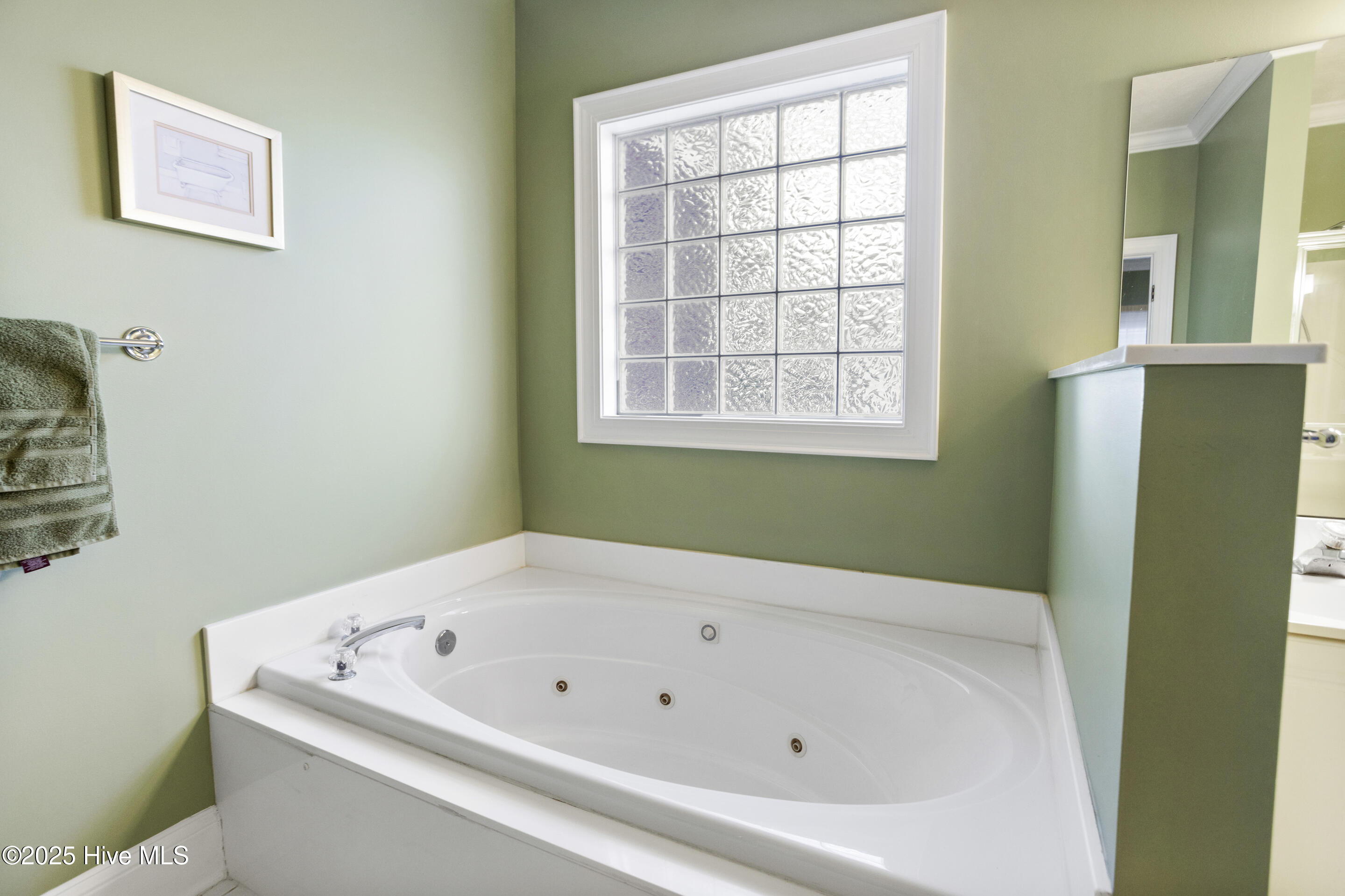 286 Goose Neck Road West Rocky Point, NC 28457 - Photo 25 of 49 Large Primary Tub