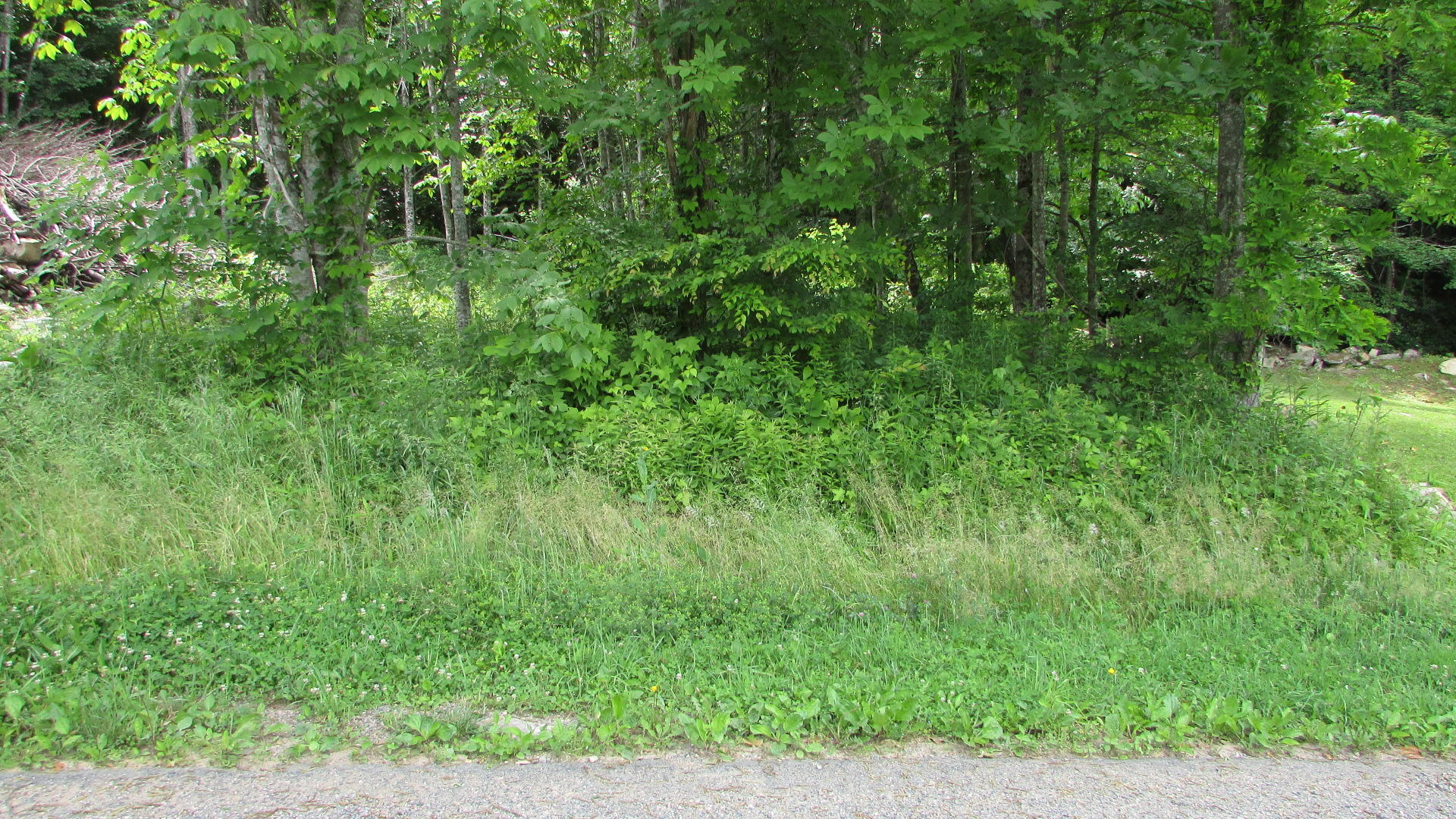 2761 Fall Branch Road Mountain City, TN 37683 - Photo 1 of 14 IMG_4568