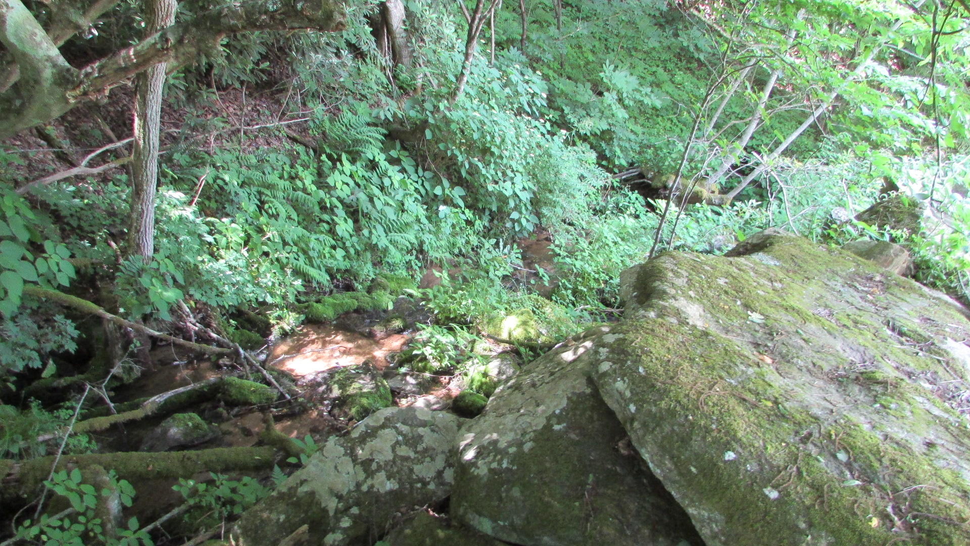 2761 Fall Branch Road Mountain City, TN 37683 - Photo 14 of 14 IMG_4581