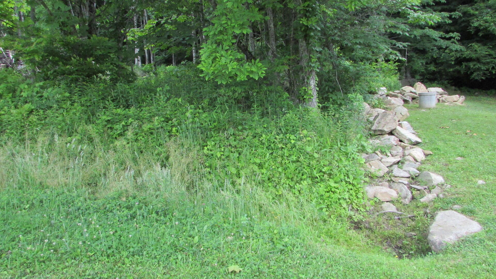 2761 Fall Branch Road Mountain City, TN 37683 - Photo 3 of 14 IMG_4570