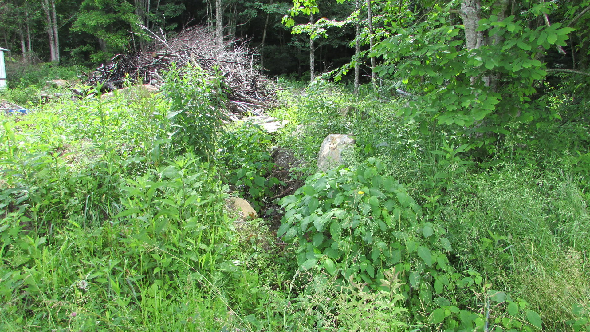 2761 Fall Branch Road Mountain City, TN 37683 - Photo 7 of 14 IMG_4574