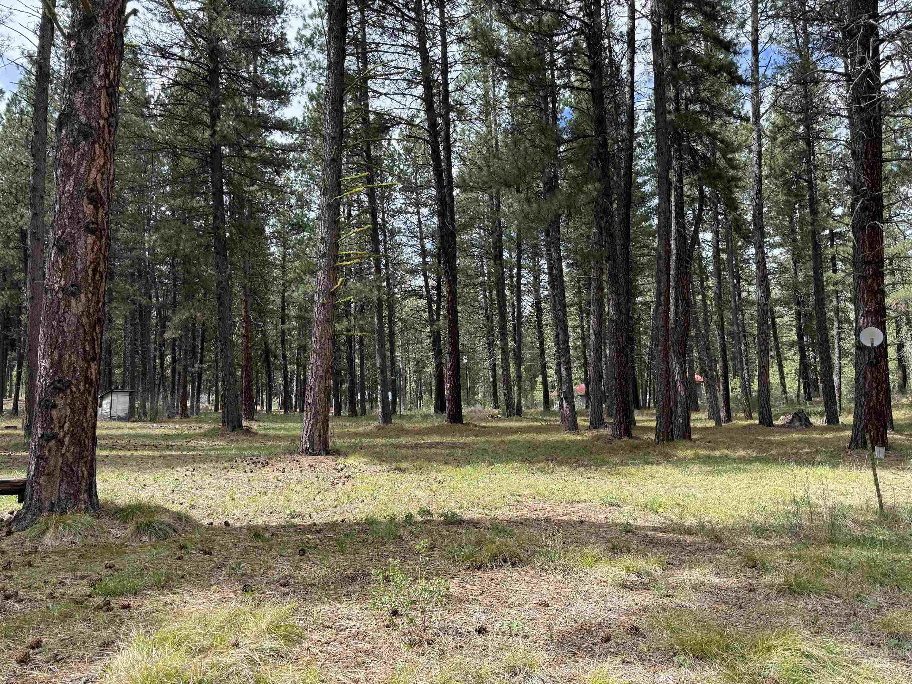 5 Ranft Drive Idaho City, ID 83631 - Photo 1 of 2