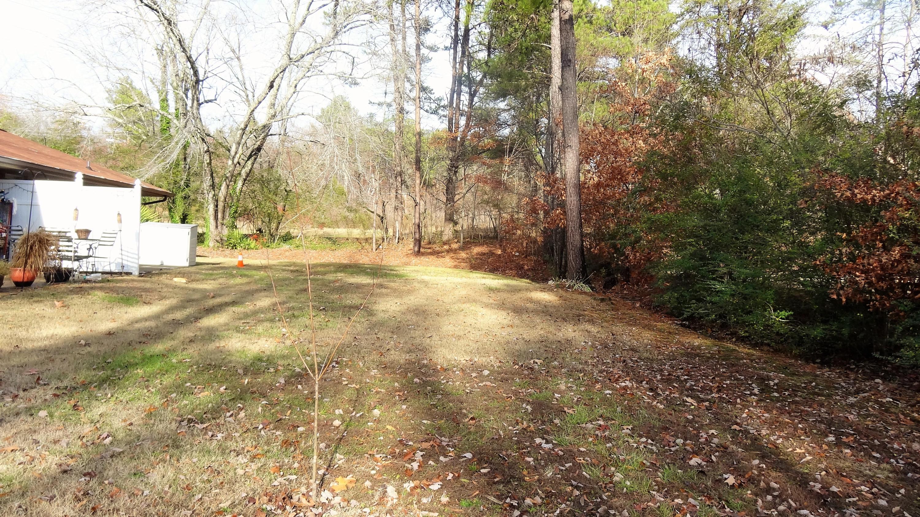 5052 Eller Road Chattanooga, TN 37416 - Photo 3 of 4 DSC04937