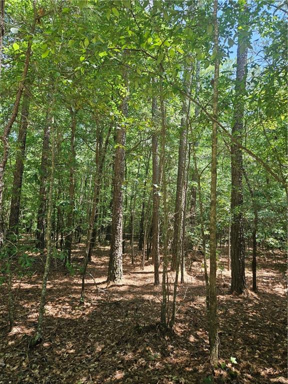292 Mccannon Road Carlton, GA 30627 - Photo 12 of 21