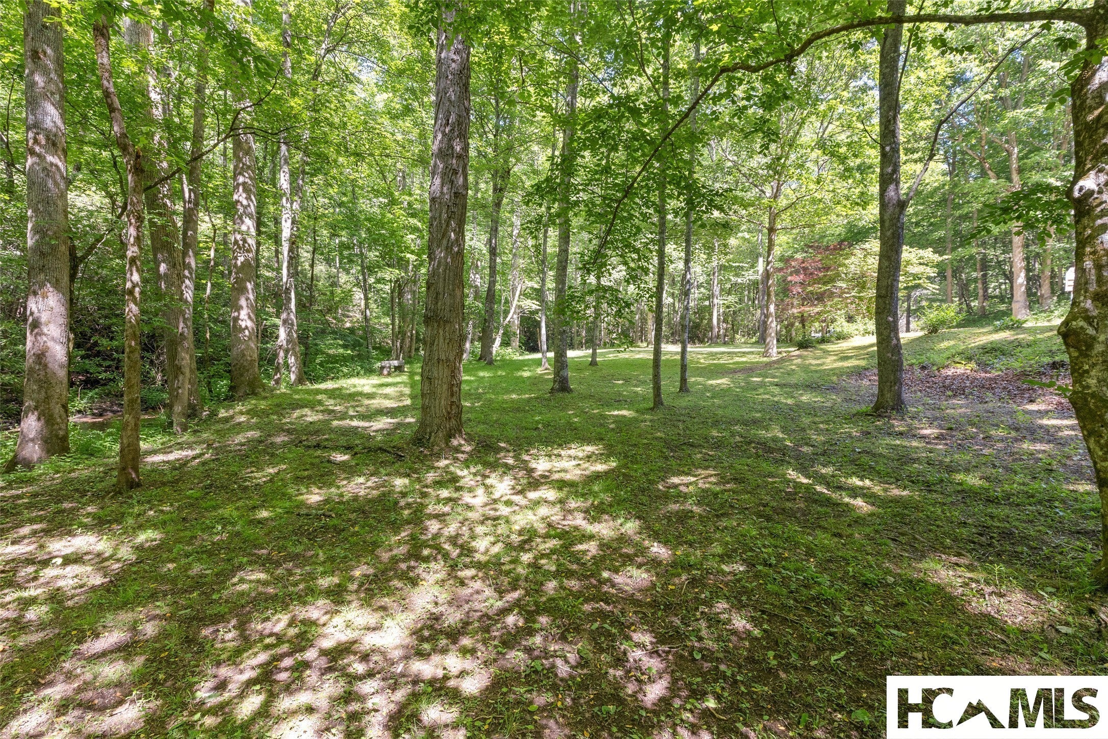 427 Mulberry Ridge Road Otto, NC 28763 - Photo 37 of 53 Gallery Image 37