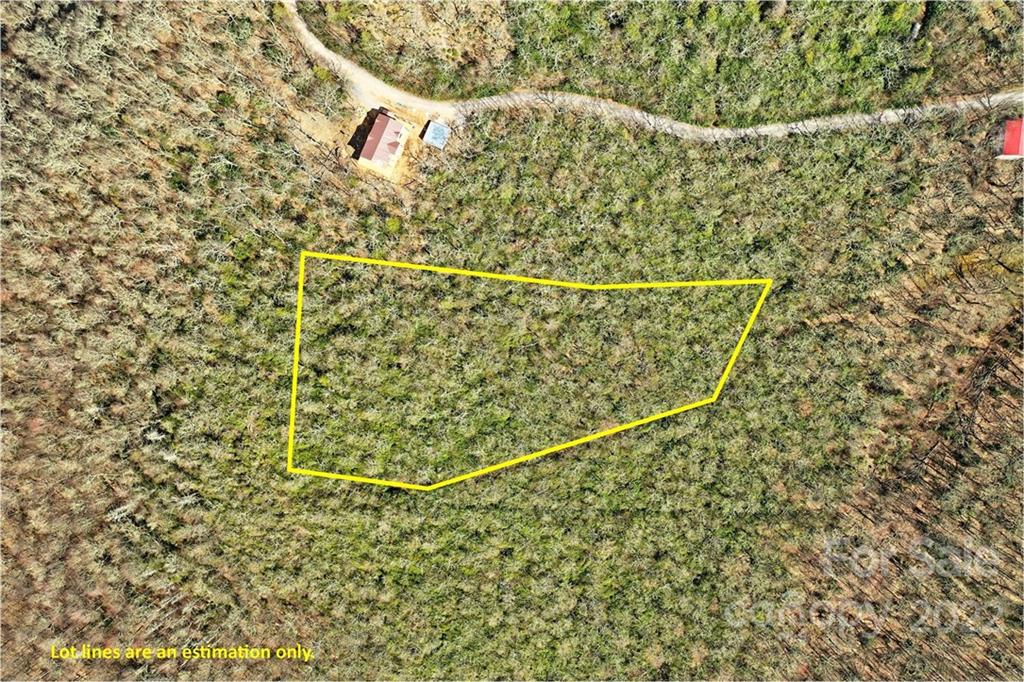 0 East Ramp Patch Road Waynesville, NC 28785 - Photo 4 of 12 Gallery Image 4