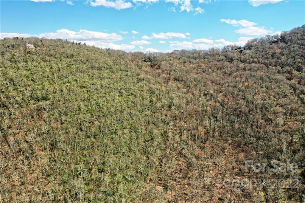 0 East Ramp Patch Road Waynesville, NC 28785 - Photo 8 of 12 Gallery Image 8