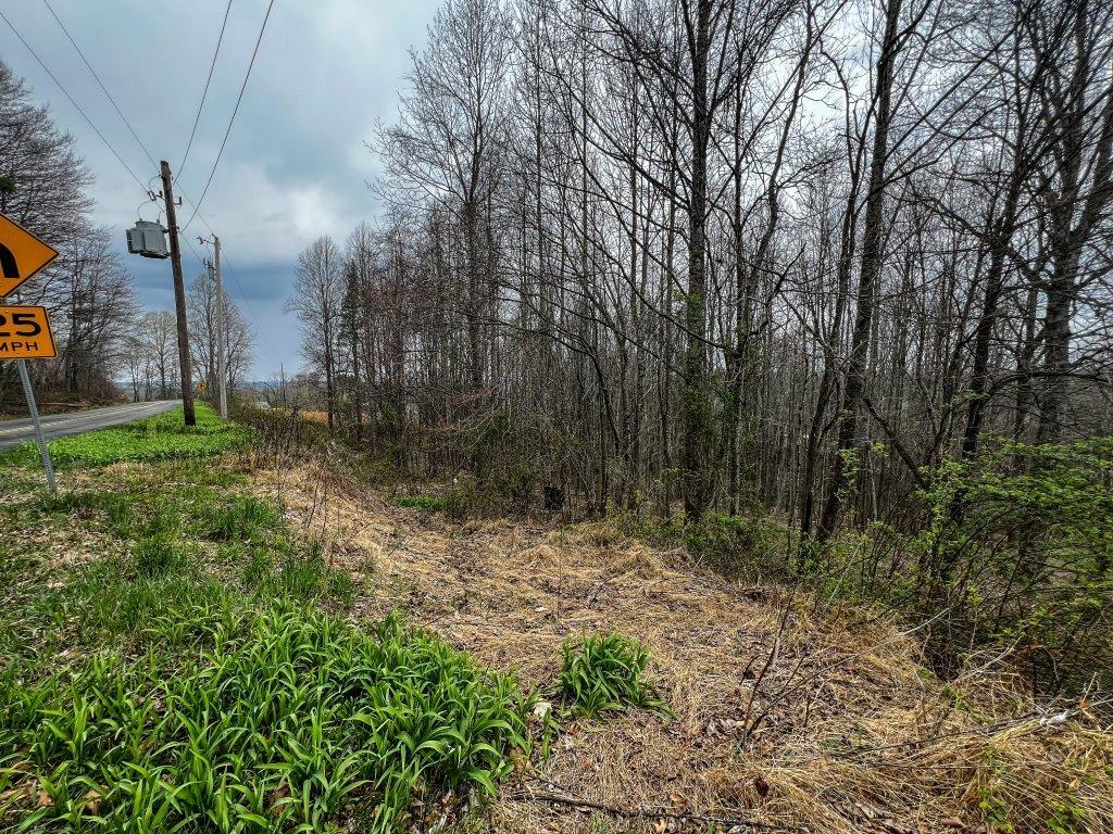 1 Keno Road, Unit 1 Fancy Gap, VA 24328 - Photo 20 of 20 Gallery Image 20