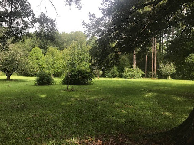 18851 Heidelberg Road Silverhill, AL 36576 - Photo 7 of 35