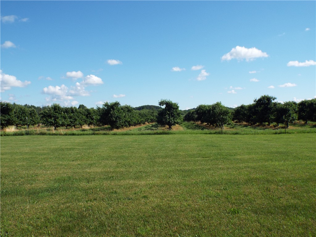 6136 Joy Road Sodus, NY 14551 - Photo 45 of 48