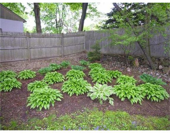 19 Webster Street Needham, MA 02494 - Photo 28 of 30 Gallery Image 28