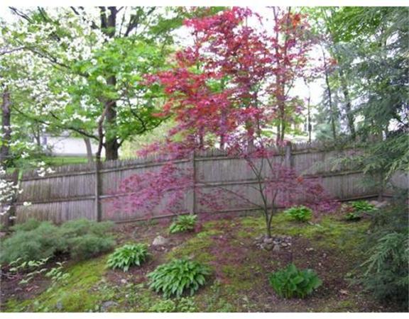 19 Webster Street Needham, MA 02494 - Photo 29 of 30 Gallery Image 29