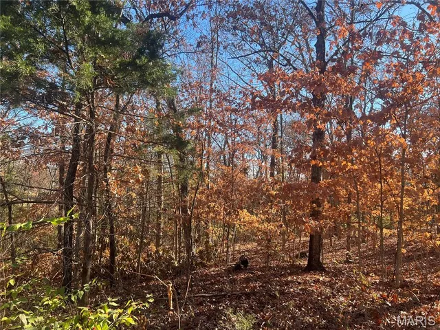 $6,000 | 14234 Lucas Drive, De Soto, MO 63020